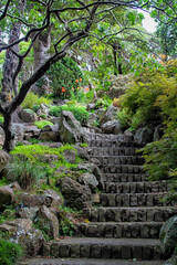 Stone steps in beautiful botanic garden in Wellington