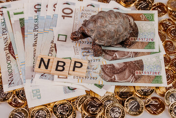 NBP i żółw na pieniądzach - obrazy, fototapety, plakaty