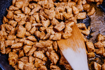 przyrumienione mięso z kurczaka