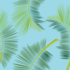 Coconut Leaves Seamless on illustration graphic vector