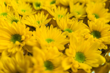 Bouquet of beautiful yellow flowers in a vase. Joyful, sunny, happy background of many yellow daisies close-up. Selective focus.