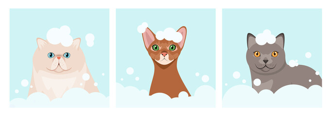 A set of cats in foam. Grooming. Cartoon design.
