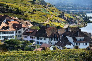 Rivaz village on shore of Geneva Lake, Lavaux vineyards on terraces - UNESCO World Heritage site,...