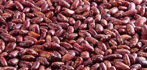 Dried red pinto beans background