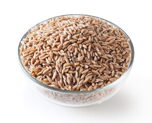 Grains of spelt in glass bowl isolated on white background wiht clipping path