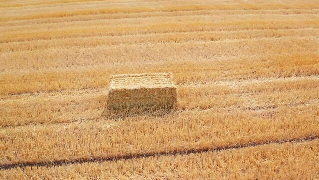 Hay bale in a shape of parallelepiped in the field. Circle movement over the straw pack with gradual rising.