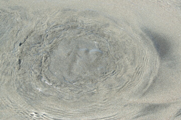 Fototapeta na wymiar 真水が湧き出る釜磯海岸の泉と海