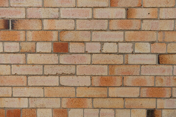 Wall of common bricks