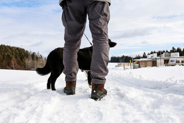 Fototapeta na wymiar A man with beautiful big black dog during the walk through the winter fields, covered with snow