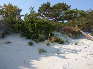 Norwegen Fjorde Gletscher Wasserf&auml;lle Natur pur