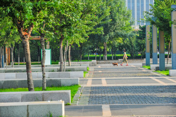 In the morning, the square of the quiet city park