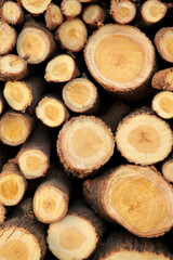 Abstract background with a wooden cut of logs stacked on top of each other. Vertical photo.