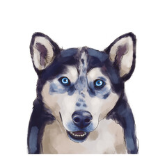 Husky dog portrait. isolated on white background - 487947891