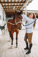 Vertical professional brunette horse woman equestrienne putting harness. Horse back riding preparation. Animal care. Grooming brushing horse, mane, snout. Outdoor farm, stall, paddock, yard. Side view