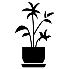 lady palm solid icon