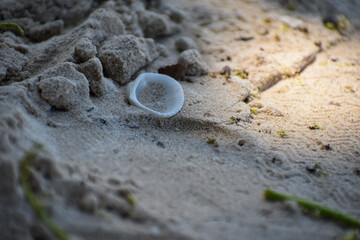  Seashell on the sand