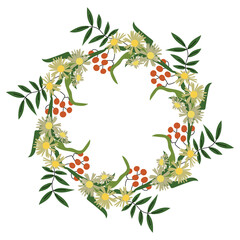 Vector flower wreath composition. Floral frame for greeting, invitation, postcard design.