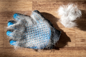 Special glove for grooming pets at home during seasonal molt full of wool, seasonal molting of animals, combing of wool, tools for grooming pets