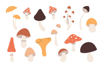 Collection hand drawn mushroom elements for your design
