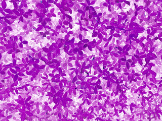 Fototapeta na wymiar A abstract Purple leaves texture background