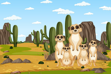 Desert background with a group of meerkats