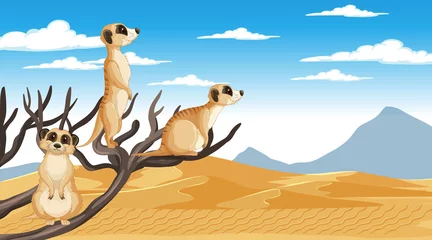 Wandaufkleber Meerkats in desert forest landscape © blueringmedia