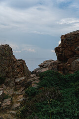 Felsen an der Küste von Torekov