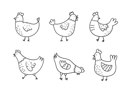 Hand drawn cute chickens set. Doodle sketch style. Funny domestic birds, farm and poultry concept. Simple linear vector illustration.