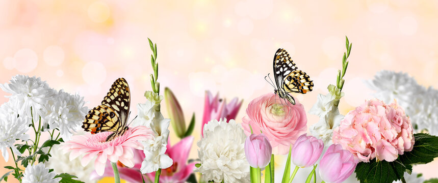 Beautiful Butterfly On Flower Against White Background