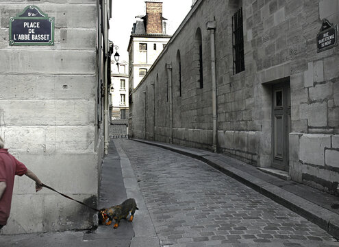 Callejuela angosta  adoquinada en Paris (Place de L'Abb&eacute; Basset /5&ordm; Arrondissement)) con medio cuerpo de un ni&ntilde;o arrastrando un perrito.