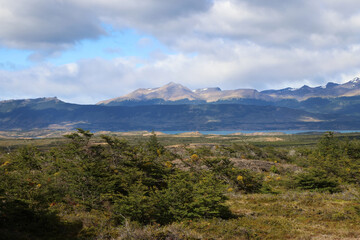 Typical vegetation of Patagonia, Chile