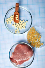 Lab grown meat with chemical nutrients in petri dishes - photo on graph paper. Oil capsules, natural pork meat, vitamin medicaments, wooden scoop in glass dishes. Millimeter grid page as background.