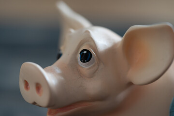 Sparschwein - Geld sparen