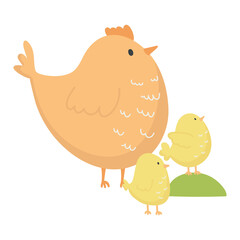 Vector illustration isolated on white background cartoon mother hen and chicks.