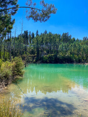 Fototapeta premium lake in the forest