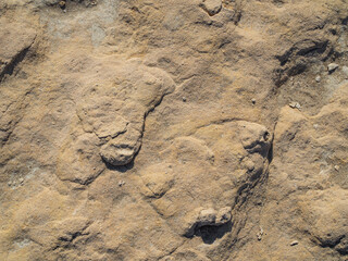 Fototapeta na wymiar Soild stone texture background. Front view yellow rock with sand on sun