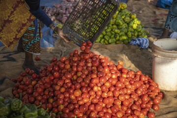 Tôt le matin les femmes vendent la tomate aux abords des rues au Burkina Faso