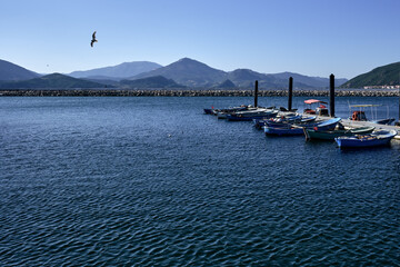 Fototapeta premium blue boats standing in the harbor on a sunny day and birds flying