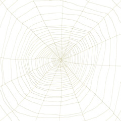 Obraz premium Toile d’araignée, fond blanc 