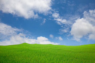 Green meadows with blue sky and clouds background.