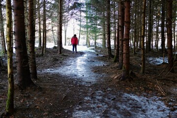 Obraz premium Frau im roten Anorak wandert auf einem vereisten Waldweg
