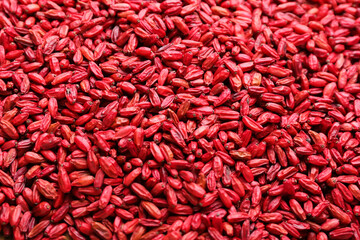 Texture of dried barberries as background