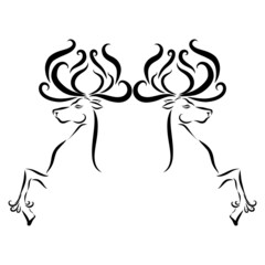 two Christmas deer with long black antlers are jumping and playing