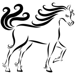 playful black stallion horse with a wavy mane and fluffy tail gallops raises its hoof