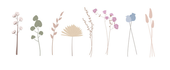 set of colored dried flowers © Kseniya Ushakova