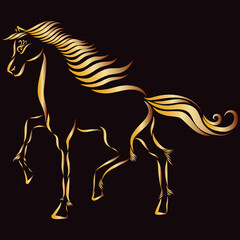 playful golden stallion horse with a wavy mane and fluffy tail gallops raises its hoof