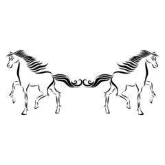 romantic couple in love playful horses with wavy mane gallop raises hoof jump in different directions