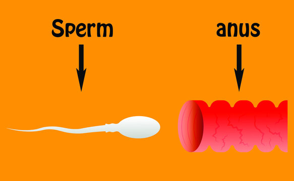 sperm enters the anus and explanatory inscriptions on a yellow background 