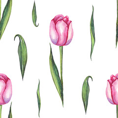 Watercolor tulips. Seamless pattern. Hand-painted