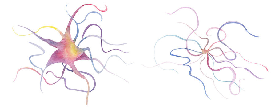 Neurons abstraction watercolor elements set. Template for decorating designs and illustrations.	
